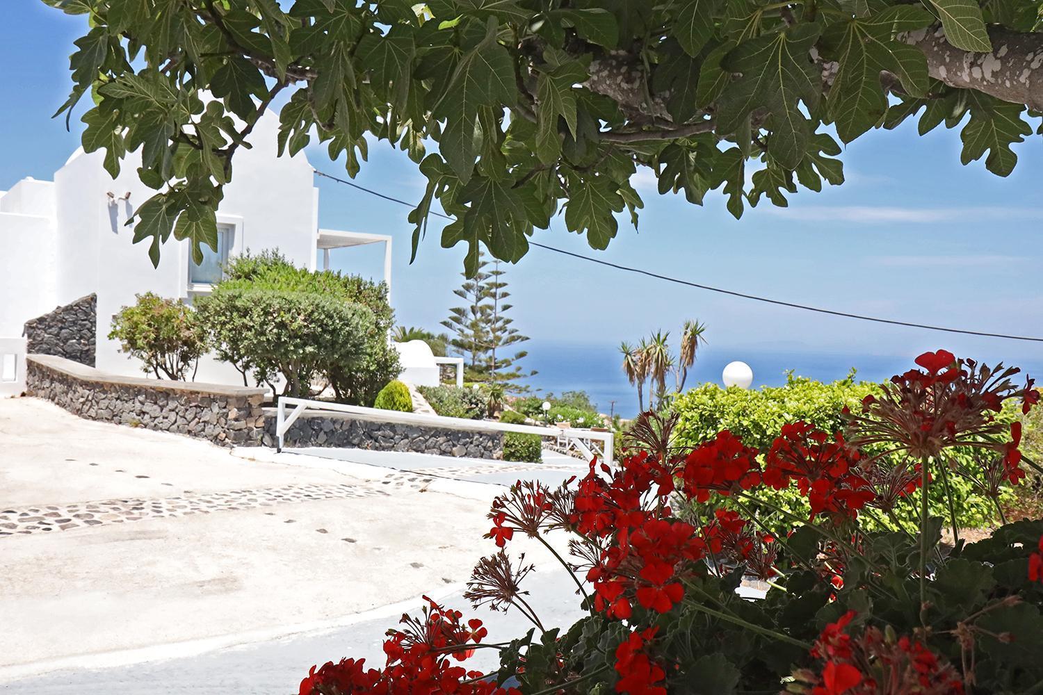 Phaos Santorini Suites 易莫洛林 外观 照片