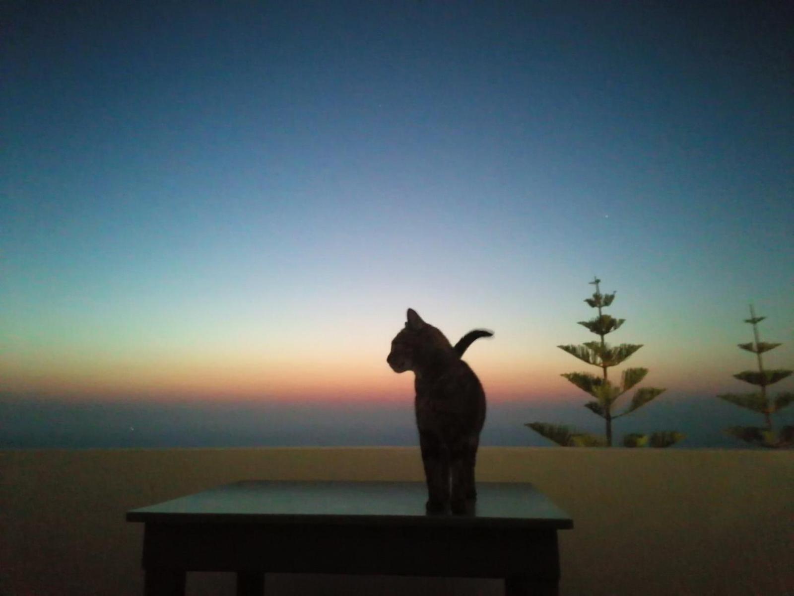 Phaos Santorini Suites 易莫洛林 外观 照片