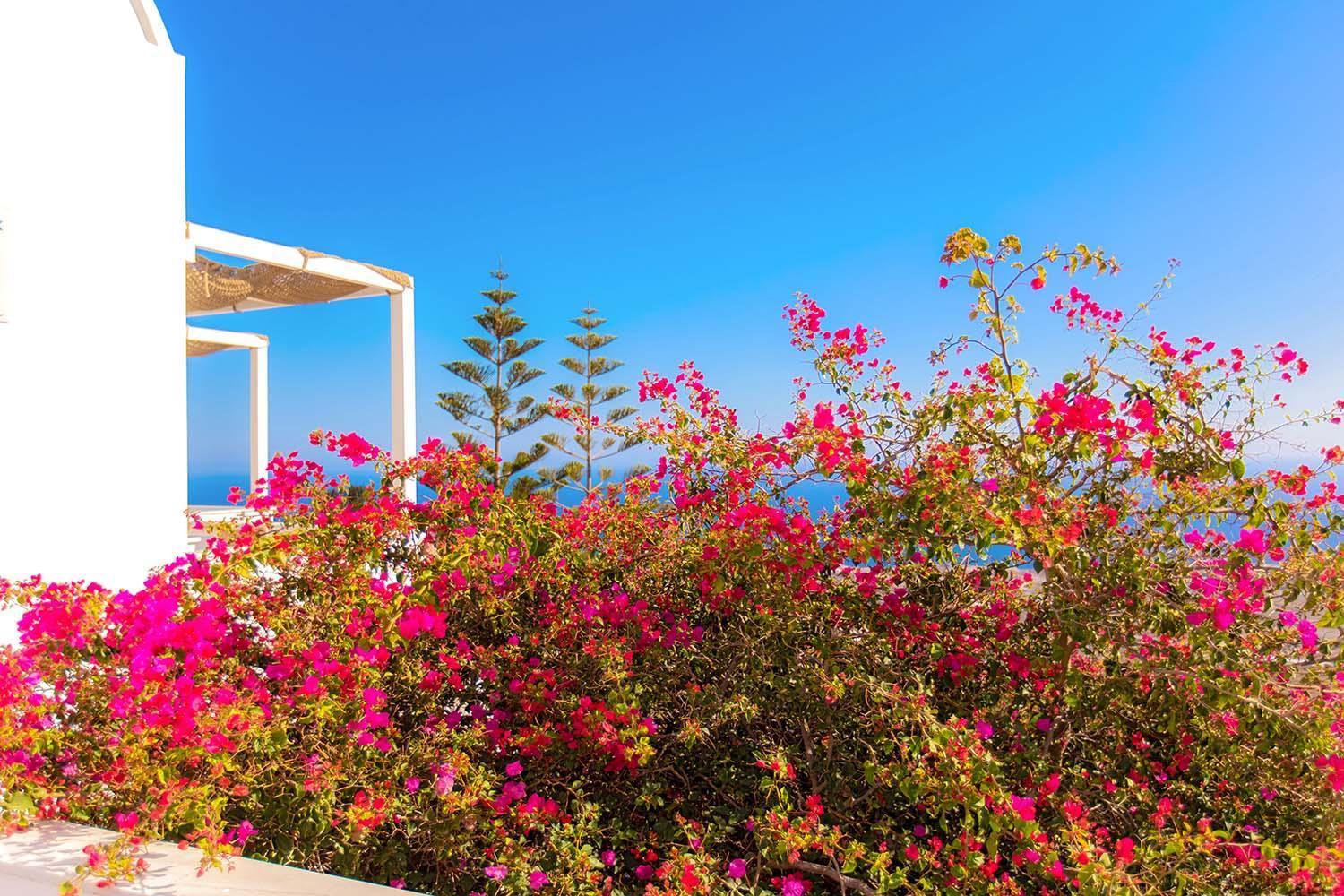Phaos Santorini Suites 易莫洛林 外观 照片